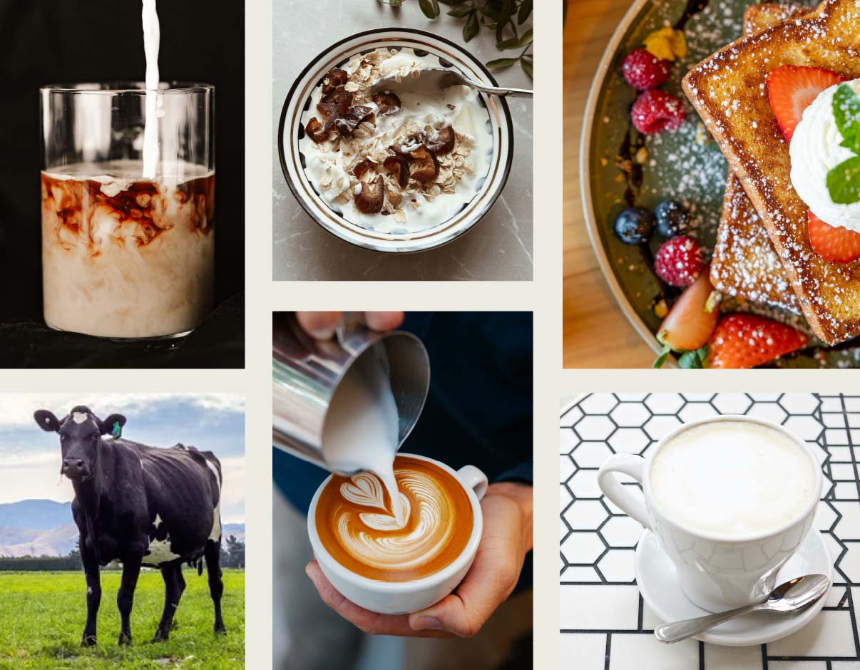 ZZ_product_headers-REAL_MILK-05